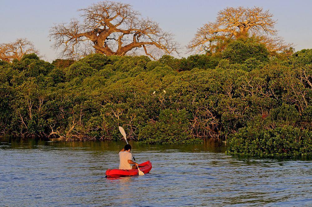 Kinasi Lodge Utende ภายนอก รูปภาพ